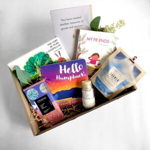 The New Baby Box