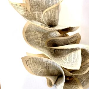 Dictionary Pages